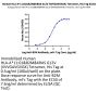 Human HLA-A*11:01&B2M&KRAS G12V (VVVGAVGVGK) Tetramer Protein (MHC-HM421T)
