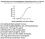 Biotinylated Human HLA-A*03:01&B2M&KRAS WT (VVVGAGGVGK) Monomer Protein (MHC-HM423B)