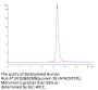 Biotinylated Human HLA-A*24:02&B2M&Survivin 2B (AYACNTSTL) Monomer Protein (MHC-HM430B)