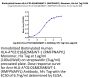 Biotinylated Human HLA-A*02:01&B2M&WT-1 (RMFPNAPYL) Monomer Protein (MHC-HM431B)