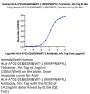 Human HLA-A*02:01&B2M&WT-1 (RMFPNAPYL) Tetramer Protein (MHC-HM431T)