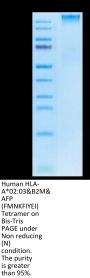 Human HLA-A*02:03&B2M&AFP (FMNKFIYEI) Tetramer Protein (MHC-HM432T)
