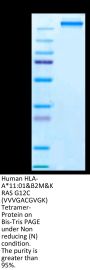 Human HLA-A*11:01&B2M&KRAS G12C (VVVGACGVGK) Tetramer Protein (MHC-HM439T)