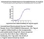 Biotinylated Human Peptide Ready HLA-A*02:01&B2M Monomer Protein (MHC-HM43RB)