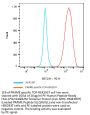 PE-Labeled Human Peptide Ready HLA-A*02:01&B2M Tetramer Protein (MHC-HM43RTP)