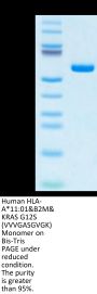 Human HLA-A*11:01&B2M&KRAS G12S (VVVGASGVGK) Monomer Protein (MHC-HM442)