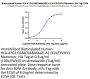 Biotinylated Human HLA-A*02:01&B2M&MAGE-A1 (KVLEYVIKV) Monomer Protein (MHC-HM445B)