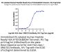 PE-Labeled Human Peptide Ready HLA-A*03:01&B2M Tetramer Protein (MHC-HM44RTP)