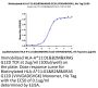 Biotinylated Human HLA-A*11:01&B2M&KRAS G12D (VVVGADGVGK) Monomer Protein (MHC-HM454B)