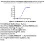 Biotinylated Human HLA-A*11:01&B2M&EGFR L858R (KITDFGRAK) Monomer Protein (MHC-HM479B)