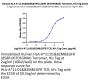 Human HLA-A*11:01&B2M&EGFR L858R (KITDFGRAK) Tetramer Protein (MHC-HM479T)