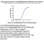 Biotinylated Human HLA-A*11:01&B2M&EGFR WT (KITDFGLAK) Monomer Protein (MHC-HM480B)