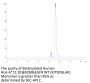 Biotinylated Human HLA-A*11:01&B2M&EGFR WT (KITDFGLAK) Monomer Protein (MHC-HM480B)