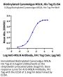 Biotinylated Cynomolgus MSLN/Mesothelin Protein (Primary Amine Labeling) (MSL-CM180B)