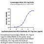 Cynomolgus MSLN/Mesothelin Protein (MSL-CM280)