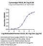 Cynomolgus MSLN/Mesothelin Protein (MSL-CM281)