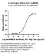 Cynomolgus MSLN/Mesothelin Protein (MSL-CM281)