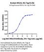 Human MSLN/Mesothelin Protein (MSL-HM183)