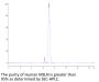 Human MSLN/Mesothelin Protein (MSL-HM183)