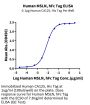 Human MSLN/Mesothelin Protein (MSL-HM280)