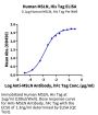 Human MSLN/Mesothelin Protein (MSL-HM480)