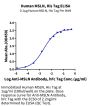 Human MSLN/Mesothelin Protein (MSL-HM4D1)