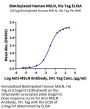 Biotinylated Human MSLN/Mesothelin Protein (MSL-HM4D1B)