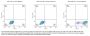 Biotinylated Human MSLN/Mesothelin Protein (MSL-HM580B)