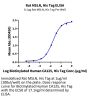 Rat MSLN/Mesothelin Protein (MSL-RM180)