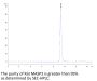 Rat MASP2 Protein (MSP-RE102)
