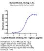 Human MUC18/CD146 Protein (MUC-HM118)