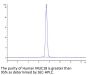 Human MUC18/CD146 Protein (MUC-HM118)