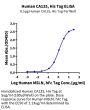 Human CA125/MUC16 Protein (MUC-HM416)