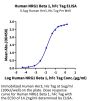 Human NRG1 Beta 1 Protein (NRG-HM201)