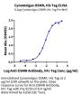 Cynomolgus OSMR Protein (OSM-CM101)