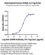 Biotinylated Human OSMR beta Protein (OSM-HM001B)