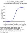 Human OX40/TNFRSF4/CD134 Protein (OX4-HM240)
