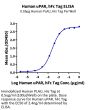 Human uPAR/PLAUR Protein (PAR-HM201)