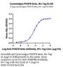 Cynomolgus PDGF R beta/CD140b Protein (PGF-CM1RB)