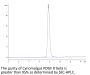 Cynomolgus PDGF R beta/CD140b Protein (PGF-CM1RB)