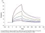Rat PDGF R beta/CD140b Protein (PGF-RM1RB)