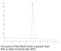 Rat PDGF R beta/CD140b Protein (PGF-RM1RB)