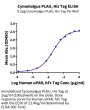 Cynomolgus PLAU/uPA Protein (active form) (PLA-CM101)