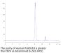 Human PLA2G1B Protein (PLA-HM21B)