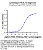 Cynomolgus PRLR Protein (PLR-CM101)