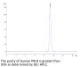 Human PRLR Protein, Ultra Low Endotoxin (PLR-HM101-UL)