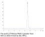 Mouse PRLR Protein, Ultra Low Endotoxin (PLR-MM101-UL)