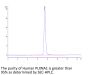 Human PLXNA1 Protein (PLX-HM101)