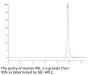 Human PRL-1/PTP4A1 Protein (PRL-HE101)