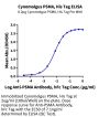 Cynomolgus PSMA/FOLH1 Protein (PSM-CM110)